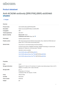 Anti-ACADM antibody [EPR3708] (HRP) ab203465 Product datasheet 2 Images