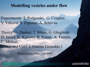 Modelling vesicles under flow