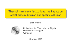 Thermal membrane fluctuations: the impact on · Ellen Reister