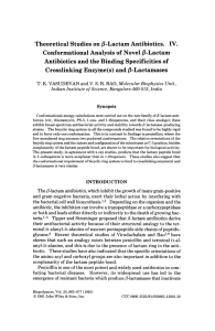 Theoretical Studies on /3-Lactam Antibiotics. IV. Conformational Analysis of Novel &amp;Lactam