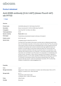 Anti-SDHB antibody [21A11AE7] (Alexa Fluor® 647) ab197722