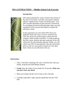 DNA EXTRACTION – Middle School Lab Exercise