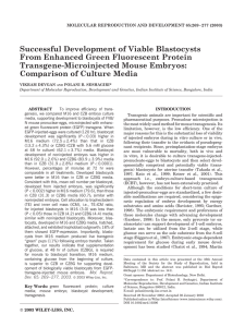 Successful Development of Viable Blastocysts From Enhanced Green Fluorescent Protein