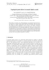 Topological point defects in nematic liquid crystals