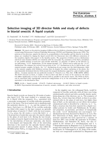 Selective imaging of 3D director fields and study of defects T E