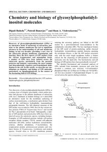 Chemistry and biology of glycosylphosphatidyl- inositol molecules  Dipali Ruhela