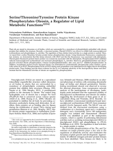 Serine/Threonine/Tyrosine Protein Kinase Phosphorylates Oleosin, a Regulator of Lipid Metabolic Functions