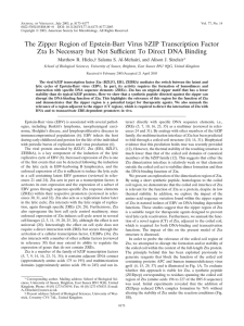 J V , July 2003, p. 8173–8177 Vol. 77, No. 14