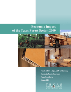 Economic Impact of the Texas Forest Sector, 2009