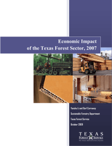 Economic Impact of the Texas Forest Sector, 2007 Sustainable Forestry Department