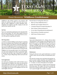 Forest Resources: