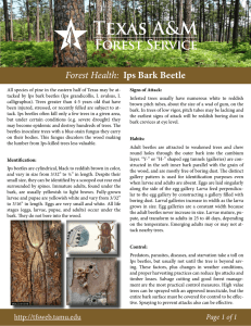 Forest Health: