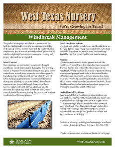 West Texas Nursery Windbreak Management We’re Growing for Texas!