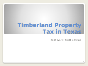 Timberland Property Tax in Texas Texas A&amp;M Forest Service 1