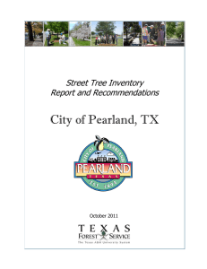 City of Pearland, TX Street Tree Inventory Report and Recommendations October 2011