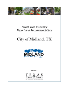 City of Midland, TX Street Tree Inventory Report and Recommendations July 2011