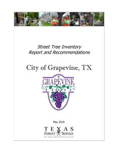 City of Grapevine, TX Street Tree Inventory Report and Recommendations May 2010