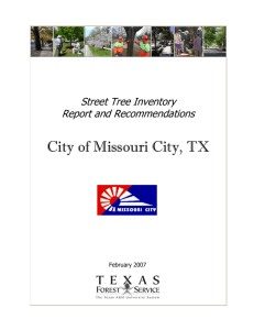 City of Missouri City, TX Street Tree Inventory Report and Recommendations February 2007