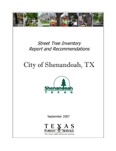 City of Shenandoah, TX  Street Tree Inventory Report and Recommendations