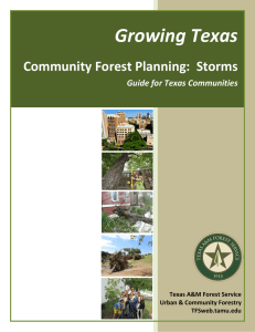 Growing Texas   Community Forest Planning:  Storms Guide for Texas Communities