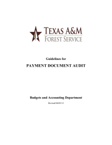 PAYMENT DOCUMENT AUDIT Guidelines for Budgets and Accounting Department