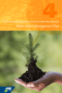 Urban Forest Management Plan