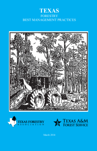 TEXAS FORESTRY BEST MANAGEMENT PRACTICES