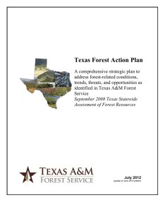 Texas Forest Action Plan