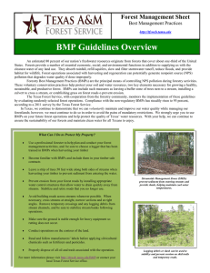 BMP Guidelines Overview Forest Management Sheet