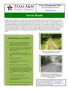 Forest Roads Forest Management Sheet