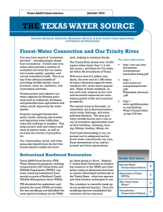 THE TEXAS WATER SOURCE Forest-Water Connection and Our Trinity River