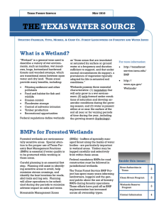 THE TEXAS WATER SOURCE What is a Wetland?