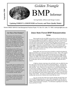 BMP  Golden Triangle Informer