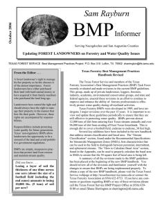 BMP  Sam Rayburn Informer