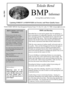 BMP  Toledo Bend Informer