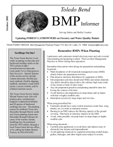 BMP  Toledo Bend Informer