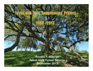 Ronald F. Billings g Texas A&amp;M Forest Service September 2013