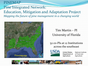 Pine Integrated Network: Education, Mitigation and Adaptation Project