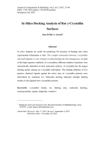 In Silico Docking Analysis of Rat γ-Crystallin Surfaces Abstract
