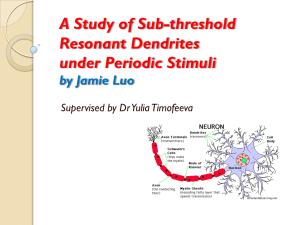 A Study of Sub-threshold Resonant Dendrites under Periodic Stimuli by Jamie Luo