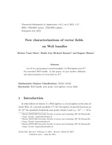 New characterizations of vector fields on Weil bundles