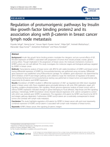 Regulation of protumorigenic pathways by Insulin β-catenin in breast cancer
