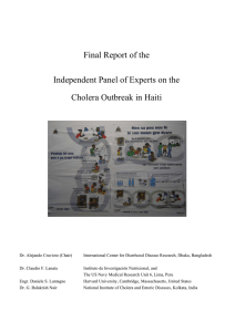 Final Report of the Independent Panel of Experts on the
