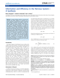 Information and Efficiency in the Nervous System— A Synthesis Review Biswa Sengupta