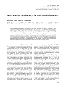 Species importance in a heterospecific foraging association network
