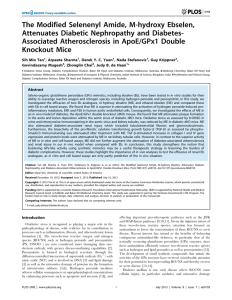 The Modified Selenenyl Amide, M-hydroxy Ebselen, Attenuates Diabetic Nephropathy and Diabetes-