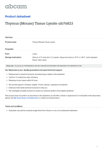 Thymus (Mouse) Tissue Lysate ab76823 Product datasheet Overview Product name