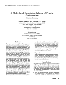 A  Multi-Level Description Scheme  of  Protein Conformation