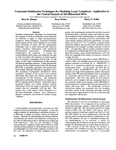 Constraint  Satisfaction to the  Central