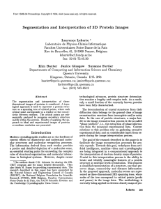Segmentation and  Interpretation of  3D  Protein Images